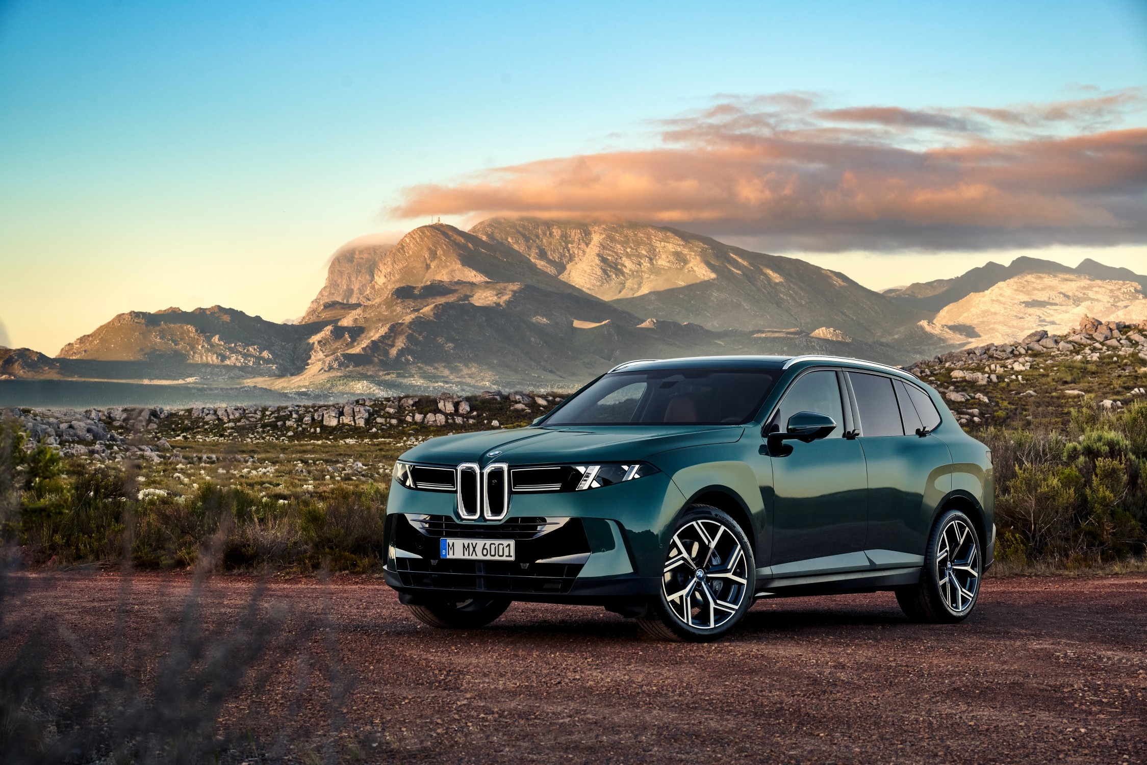 Зелёный BMW X5 пятого поколения G65 на официальной презентационной фотографии